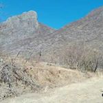 Profile Picture of Javier Macedo (@javier.macedo.5494) on Instagram