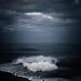 Profile Picture of S Mikell (@shannamikell) on Pinterest