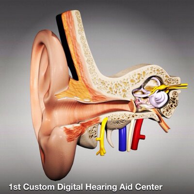 Profile Picture of Lindsay Groff (@lgroff) on Twitter