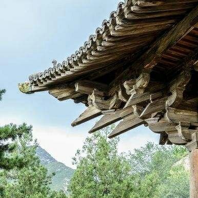 Profile Picture of 祯寻 (@FuYifanSimon) on Twitter