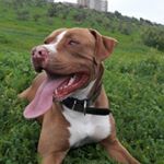 Profile Picture of Cesar Jara (@cesar.jara.140876) on Instagram