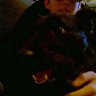 Profile Picture of Josh Randles (@josh_randles) on Twitter