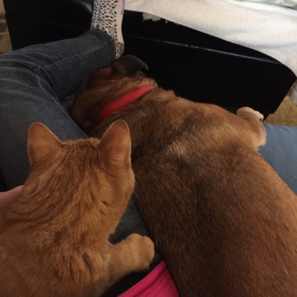 Profile Picture of Constance Bailey (@conbailey0927) on Poshmark