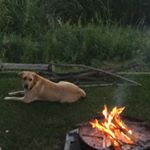 Profile Picture of Wanda Nadeau (@wsnadeau) on Instagram