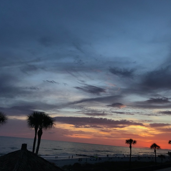 Profile Picture of Amelia Rojas (@ameliarojas) on Poshmark