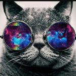 Profile Picture of mara sophie walpuski (@mara_lol_nw) on Instagram