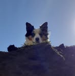 Profile Picture of Hayden Cline (@hayden.cline.440188) on Facebook