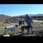 Profile Picture of Dante Carrillo (@Dante-Carrillo) on Facebook