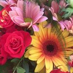 Profile Picture of Dina Hansen (@dinaehansen) on Instagram