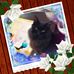 Profile Picture of Tony Unruh (@Tony-Unruh) on Facebook