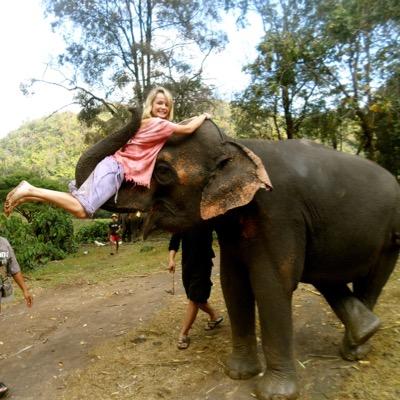 Profile Picture of Nancy Clarke (@nclarke1303) on Twitter