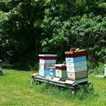 Profile Picture of Barney Walls (@barney.walls) on Instagram