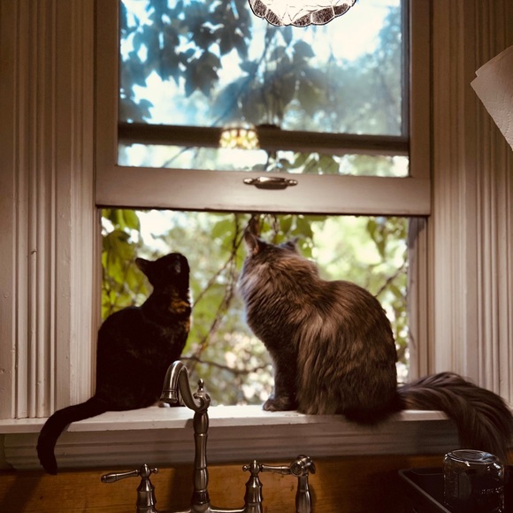 Profile Picture of Sofi Ticknor (@sofi2517) on Poshmark