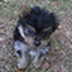 Profile Picture of Pamela Adams (@pamelajadams) on Flickr