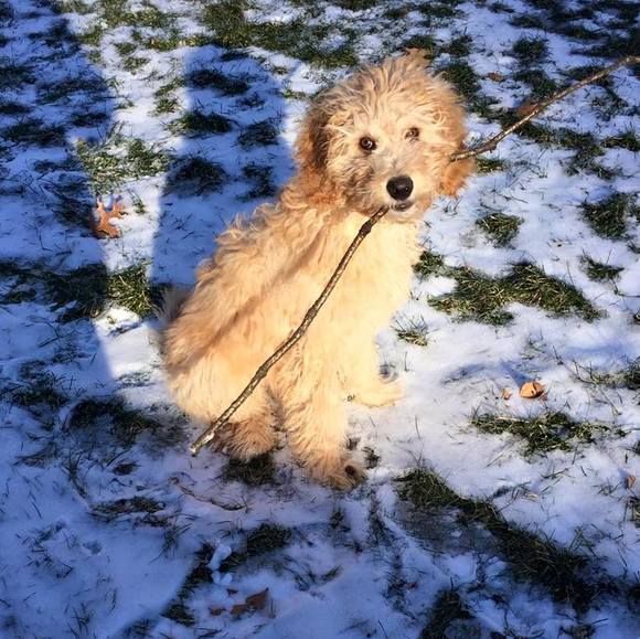 Profile Picture of Maddy Messier (@maddymessier456) on Poshmark