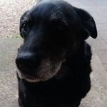 Vicki Vrahnos - Instagram Profile Picture of Vicki Vrahnos (@vrahnos) on Instagram