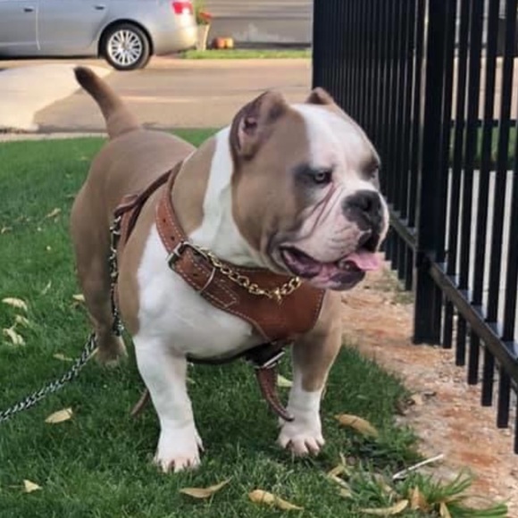 Profile Picture of Mario Paez (@paezmario55) on Poshmark