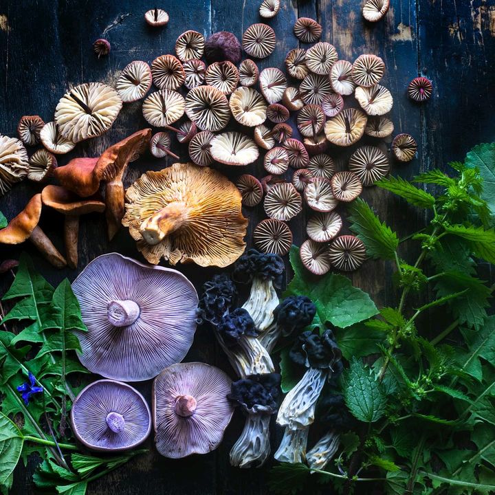 Profile Picture of $Thomas Herry (@thomasherry05) on Tiktok