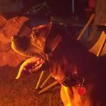 Profile Picture of Craig Dusty Lawson (@craig.d.lawson.1) on Instagram