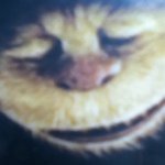 jeremysage - Instagram Profile Picture of jeremysage (@jeremysage) on Instagram