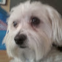 Profile Picture of Marcel Wilson (@marcel-wilson-17) on Quora