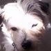 Profile Picture of Paula Billings (@paula.billings.9237) on Facebook