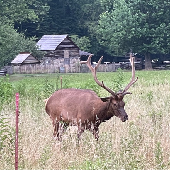 Profile Picture of Bradley Barrett (@assassinace76) on Poshmark