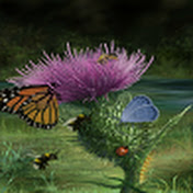 Profile Picture of Colin Thomson (@colinthomson7518) on Youtube