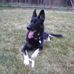 Profile Picture of Deborah Vanderhagen (@deborah.vanderhagen.37) on Facebook