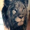 Profile Picture of user3650949830684 (@kevinlark74) on Tiktok