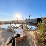 Almita Albarran - Instagram Profile Picture of Almita Albarran (@alma.albarran29) on Instagram