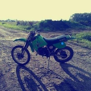 Profile Picture of Daniel Bäuml (@daniel_bauml) on Twitter