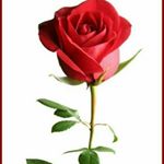 Profile Picture of Malika Thomas (@malikathomas5) on Instagram