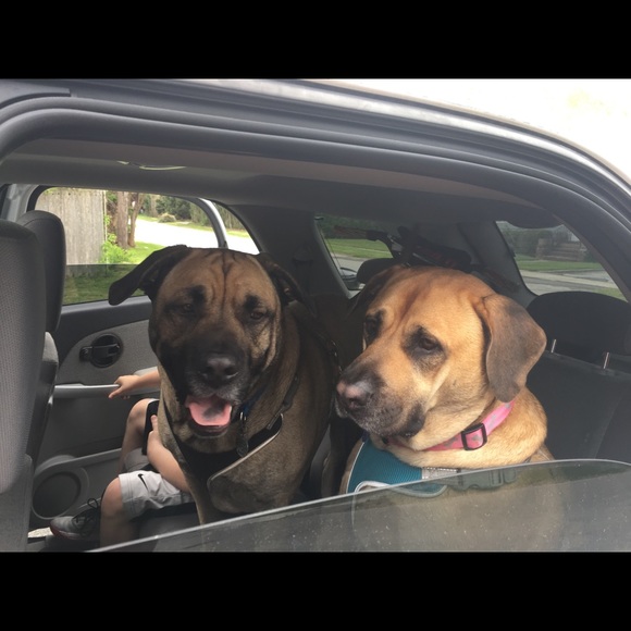 Profile Picture of Amanda Abbott (@manduhhlynn89) on Poshmark