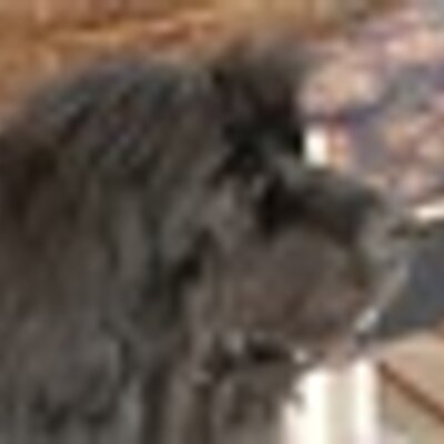Profile Picture of Scott Stemen (@SBStemen) on Twitter