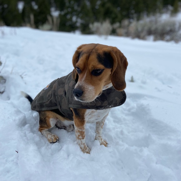 Profile Picture of Eden Knapp (@edenknapp) on Poshmark