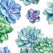 Profile Picture of LILLIAN PAULSON - STUDENT (@lillianpaulsonstudent) on Pinterest