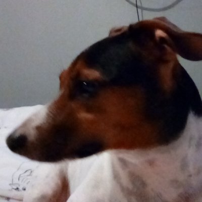 Profile Picture of Lisa Squire (@Lisasquire17) on Twitter