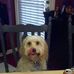 Profile Picture of Rosco Keith (@rosco.keith.1) on Facebook