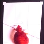 Profile Picture of Wing Chung (@wingchun104278) on Facebook