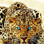 Profile Picture of Laurie Lukas (@laurielukas) on Instagram