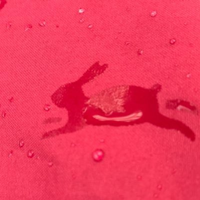 Profile Picture of Mandy Tang (@mmmiumandy) on Twitter