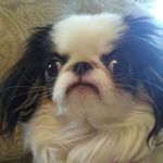 Profile Picture of Molly Rose Cramer (@mollyrosecramer) on Instagram