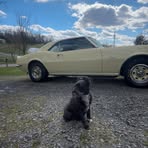 Profile Picture of Connor Massey (@Connor-Massey) on Facebook