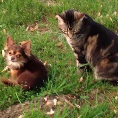 Profile Picture of James Duhon (@jamduh) on Twitter