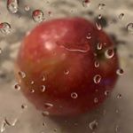 Profile Picture of David Markowitz (@dmarkowitz01) on Instagram
