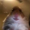 Profile Picture of Harry Wilcox (@@6_harry_wilcox_9) on Tiktok