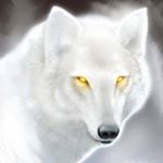 Profile Picture of David Samples (@samplesdavid) on Instagram
