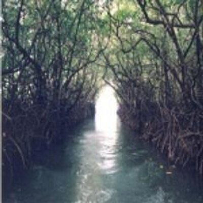 Profile Picture of Brittany Thompson (@BritThompson1) on Twitter