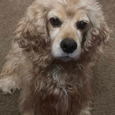 Profile Picture of Michael (@AlienWarhol) on Twitter